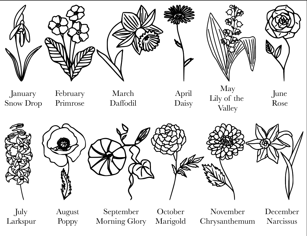 Birthday Month Flower Sign - Fresh Cut Signs