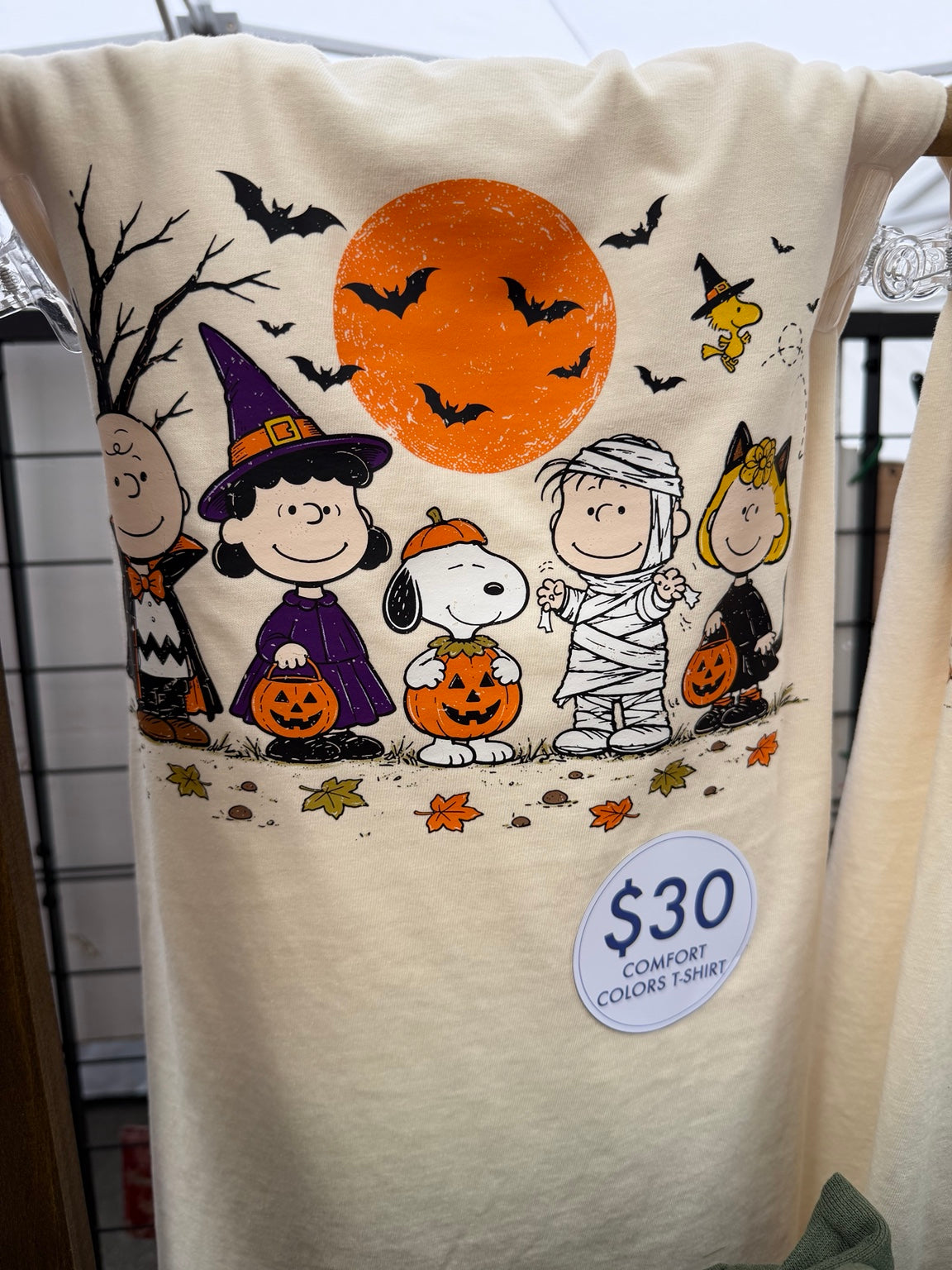 Peanuts Halloween Trick or Treat Tee Comfort Colors graphic t-shirt