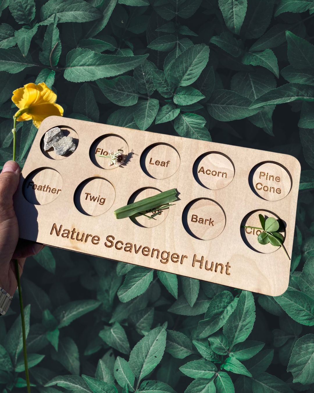 Nature Scavenger Hunt-Fresh Cut Signs-