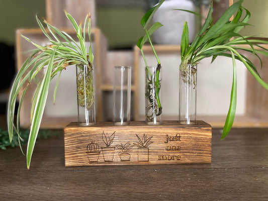 Plant Propagation Stations-Fresh Cut Signs-mother's day